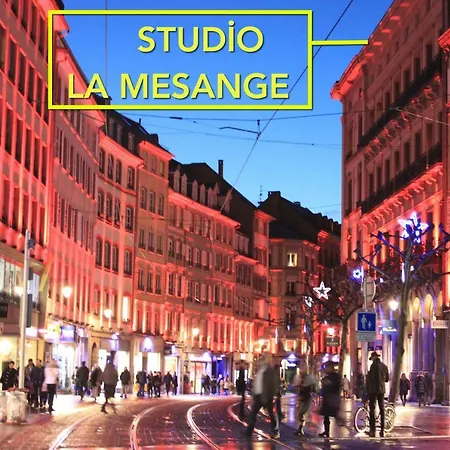 La Mesange Apartment *